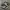 Nike Streetwear Casual Sneakers Pria white black photo 2