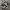 Nike Streetwear Casual Sneakers Pria White Black