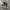 Nike Streetwear Casual Sneakers Pria white black photo 1