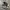 Nike Streetwear Casual Sneakers Pria White Black