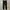PLAC JEANS NEU KURZ