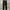 PLAC JEANS NEU KURZ