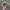 Y2K Hat Pria multicolor photo 2