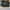 AIR JORDAN 1 MID WHITE SHADOW PANDA photo 5