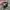 Y2K Hat Pria multicolor photo 4