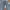 Batsu Studio Sportswear Sweatpants & Joggers Pria blue photo 3