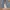 Batsu Studio Sportswear Sweatpants & Joggers Pria blue photo 4
