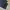 PLAC JEANS SLENDER photo 8