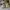 NIKE AIR FORCE 1 FONTANKA BROWN GREEN GREY photo 4
