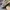 NIKE AIR FORCE 1 FONTANKA BROWN GREEN GREY photo 6