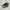 Vans sk8 high photo 3