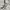 Umbro Sportswear Jersey Pria white photo 2