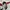 Umbro Sportswear Jersey Pria white photo 3