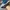 SB DUNK LOW INSTANT SKATEBOARDS photo 6