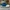 SB DUNK LOW INSTANT SKATEBOARDS photo 3