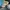 SB DUNK LOW INSTANT SKATEBOARDS photo 7