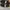 SB DUNK LOW INSTANT SKATEBOARDS photo 5