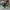 SB DUNK LOW INSTANT SKATEBOARDS photo 4