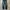 GUESS BLUE JEANS photo 1