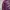 IF SIX WAS NINE Goth Y2K T-shirt Pria purple photo 5
