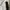 Berning Sho Goth Y2K T-shirt Pria white photo 6