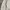 Berning Sho Goth Y2K T-shirt Pria white photo 5
