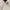 Berning Sho Goth Y2K T-shirt Pria white photo 2