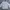 Crewneck Ralph Lauren Barcode