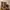 Vintage Y2K Boots Pria brown photo 2