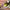 New balance cewe original running photo 6
