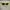 Shrek sunnies  photo 1
