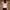 Her Official Carol Tweed Top White photo 2
