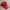 DOHC Y2K Hat Pria red photo 4