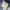 Vintage Y2K Just Cavalli Bootcut Blue Leather Trim Distresse photo 7