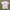 Nike Jersey photo 1