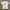 Nike Jersey