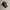 Harley Davidson Vintage Hat Pria black photo 4
