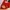 [NEW] Bikini set merah 3 piece dengan Outer Rajut photo 1