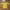 [NEW] Baju knit top warna kuning mustard no brand rajut halu photo 2