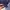 Yankees MLB tractop photo 6