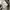 Thisisneverthat Visual Archives Dancer Hoodie Grey photo 8