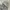 Thisisneverthat Visual Archives Dancer Hoodie Grey photo 5