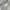 Thisisneverthat Visual Archives Dancer Hoodie Grey photo 7