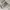Carhartt WIP State Chromo Sweatshirt Grey photo 6