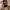 Crop top Colorbox photo 5