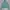 Jaket Sport Running Uniqlo Airism Anti UV Baby Green  photo 2