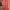 Baggy Big pocket photo 1