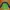 Columbia Casual Fleece Wanita green photo 1