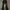 cutbray pants photo 1