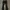 Cutbray Pants